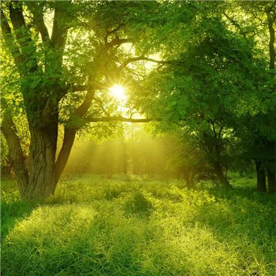 博鱼官方登录入口